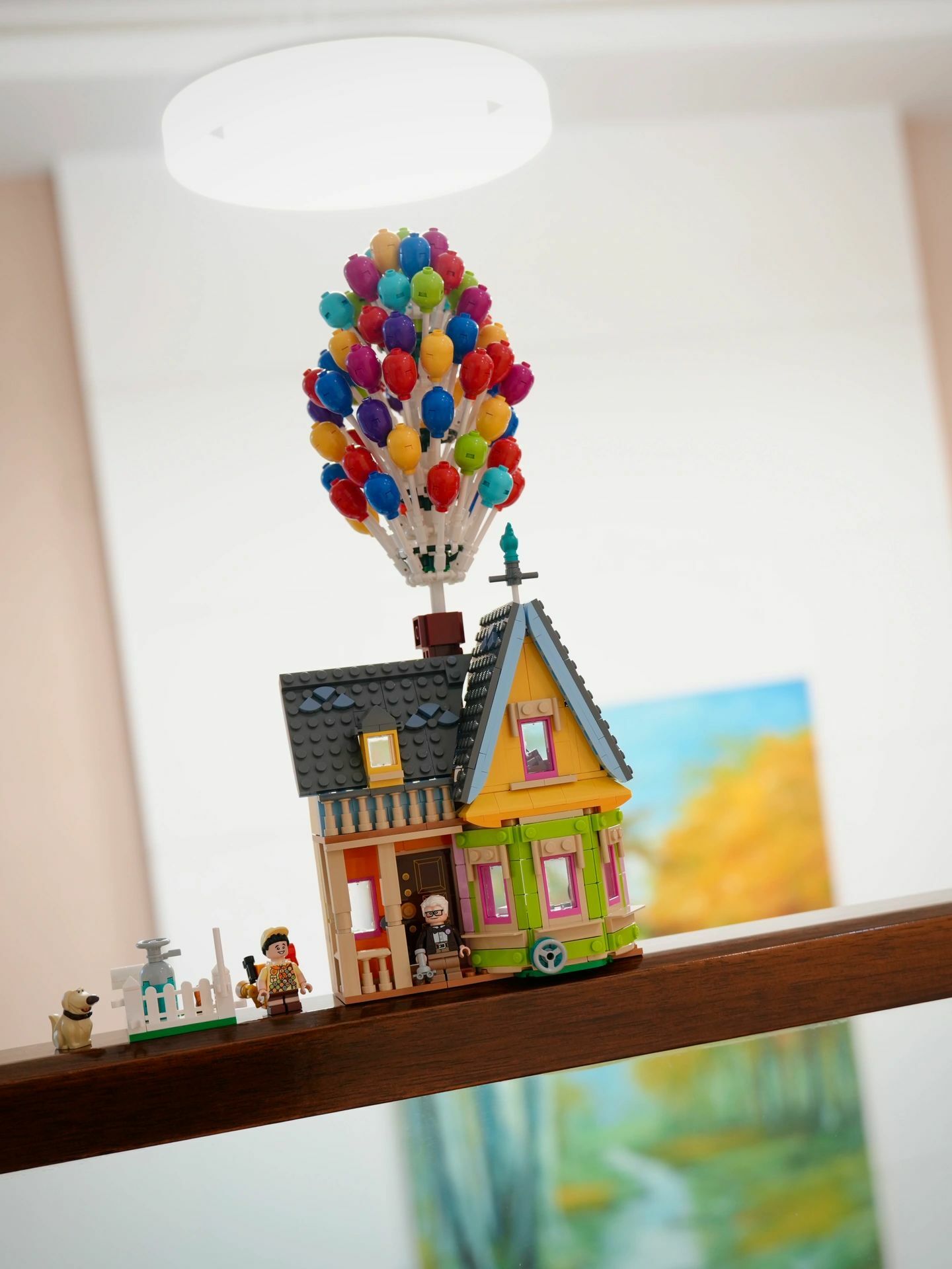 LEGO 43217 樂高 天外奇蹟🏠 氣球🎈小羅 卡爾 / 調貨