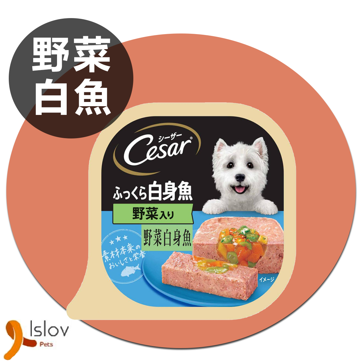 CESAR - 西莎日系料理 - 狗餐盒