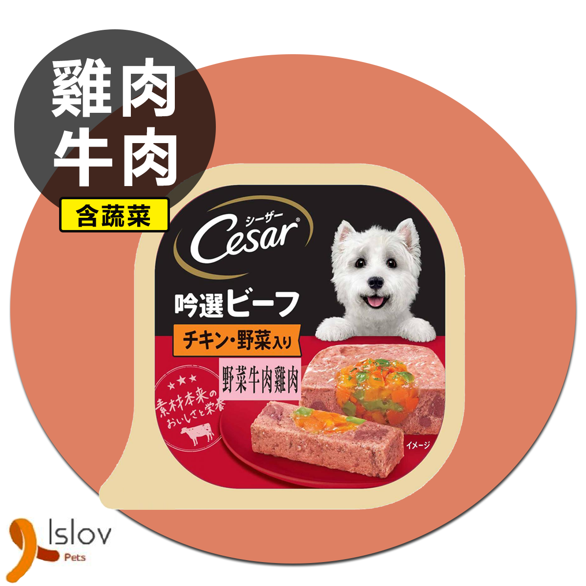 CESAR - 西莎日系料理 - 狗餐盒