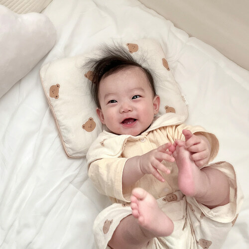 (現貨) DTD Air Mesh枕枕套 (2Size)