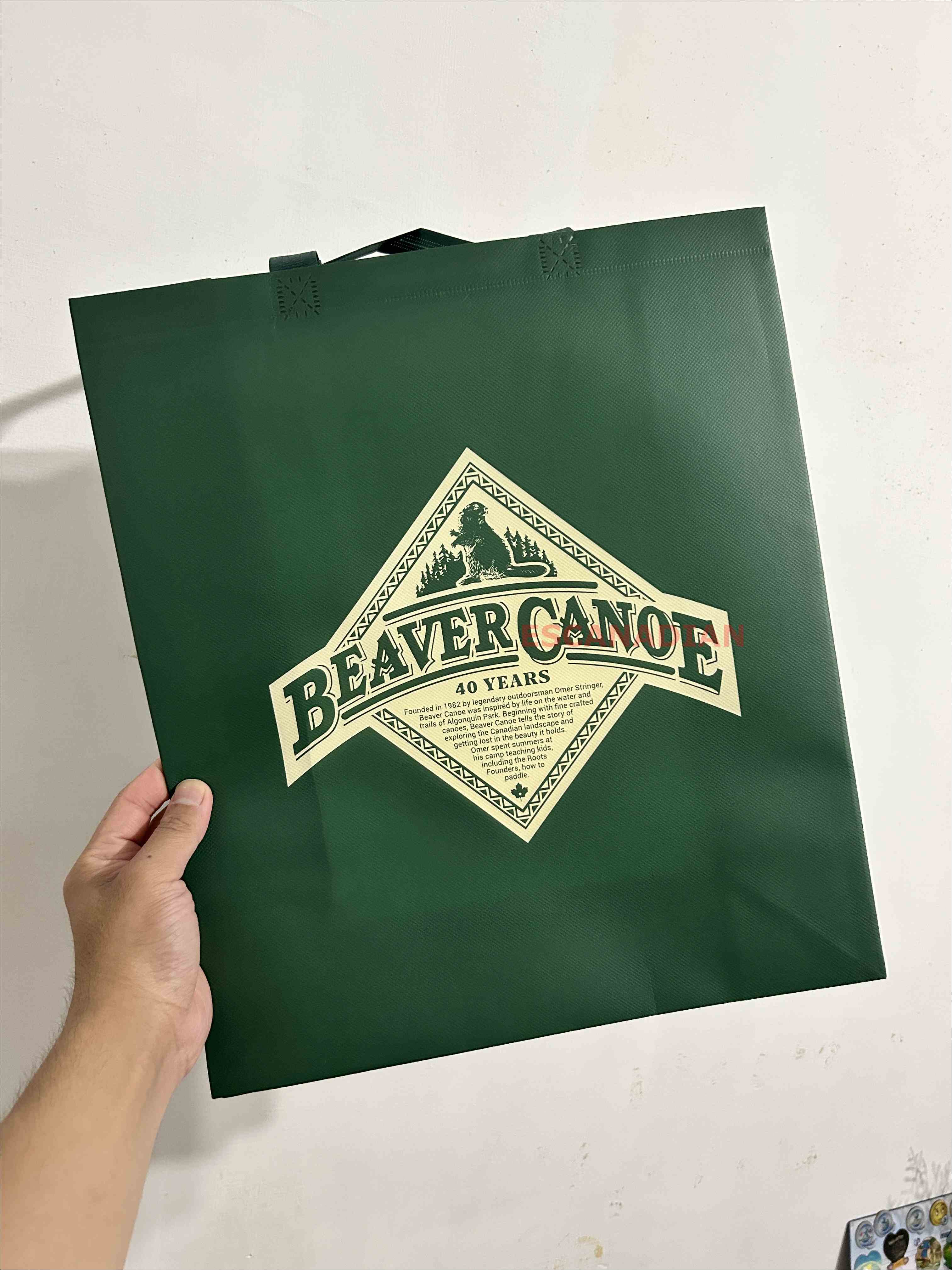 ROOTS 獨木舟海狸 環保購物袋 (2個尺寸)