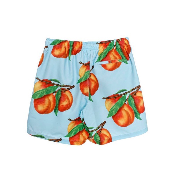 ☆ETW☆【EASY TO WEAR】STUSSY PEACHES WATER SHORT 蜜桃 海灘褲 現貨