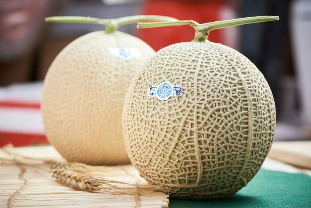 哈密瓜 (空白)