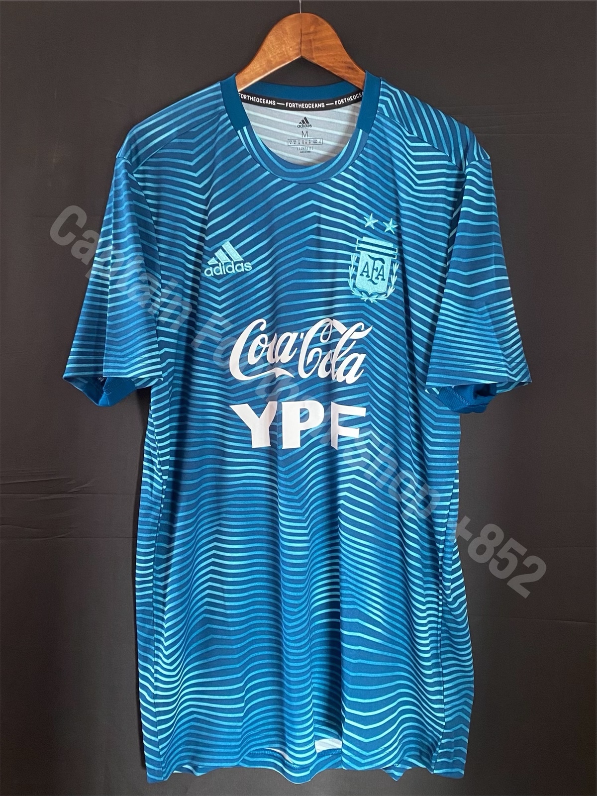 Argentina 2020-2021 Adidas x Parley Special warm up training shirt