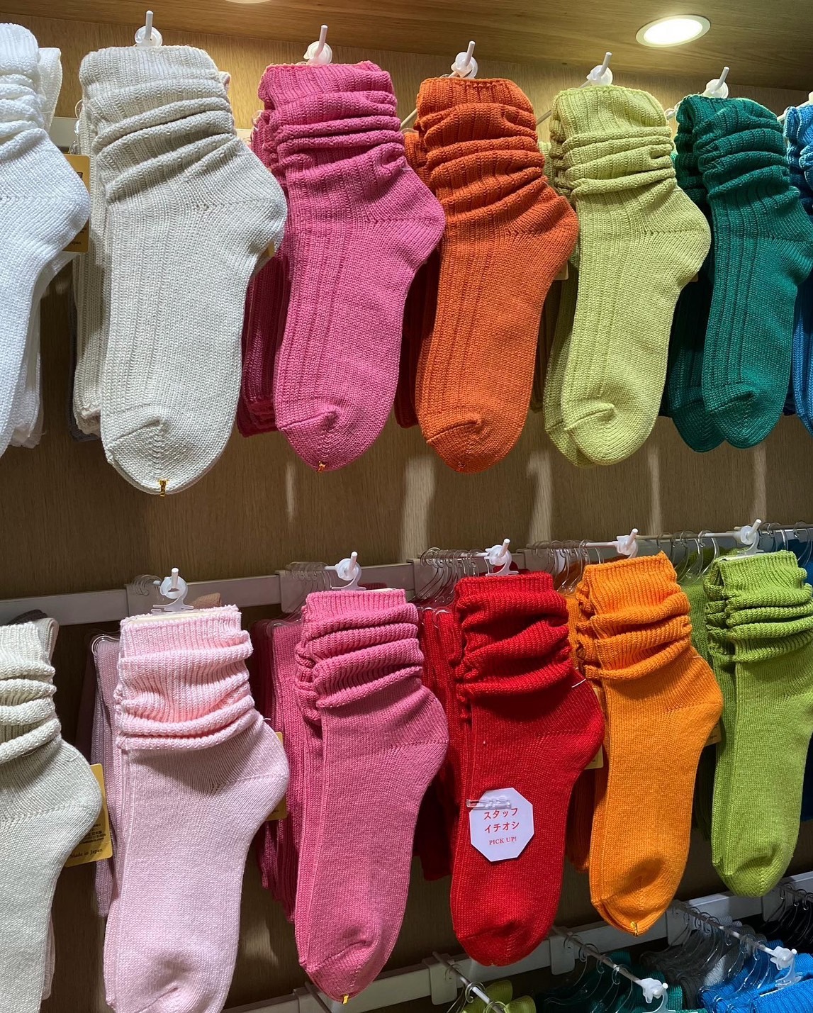 預購┃日本製 靴下屋 定番 泡泡襪 多色 長襪 襪子