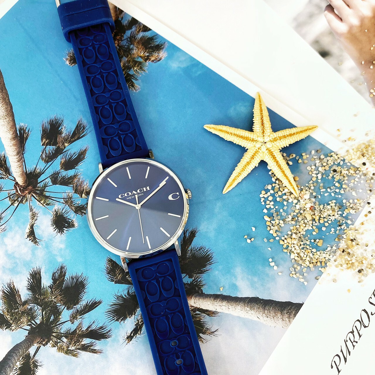 【COACH】經典LOGO C 時尚休閒腕錶 CO14602634 41mm 現代鐘錶