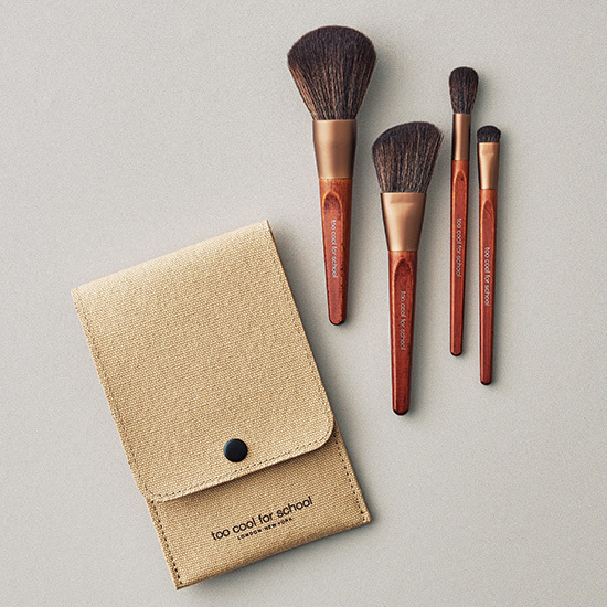 Too Cool for School Artist Vegan Brush Kit