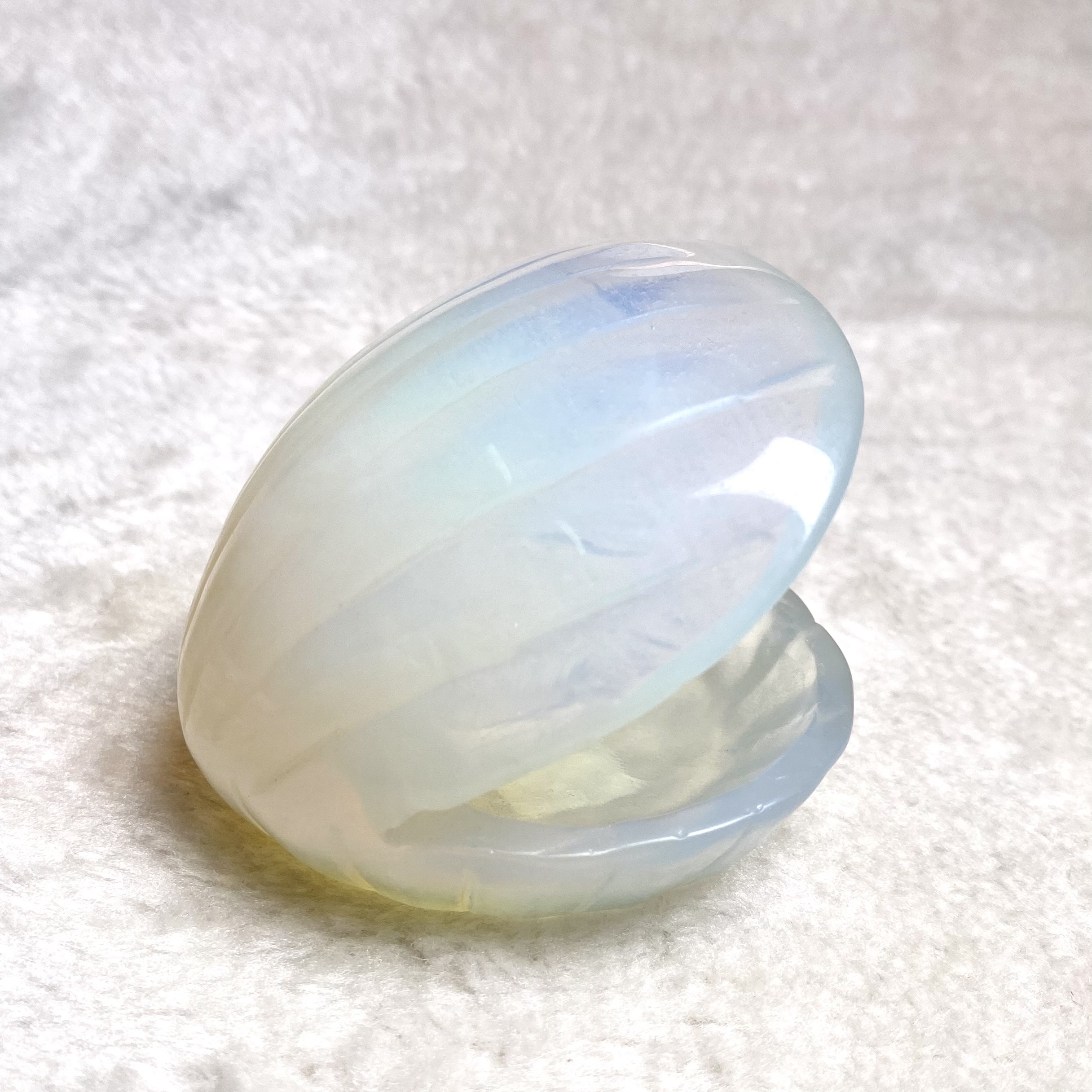 蛋白石貝殼 #A225