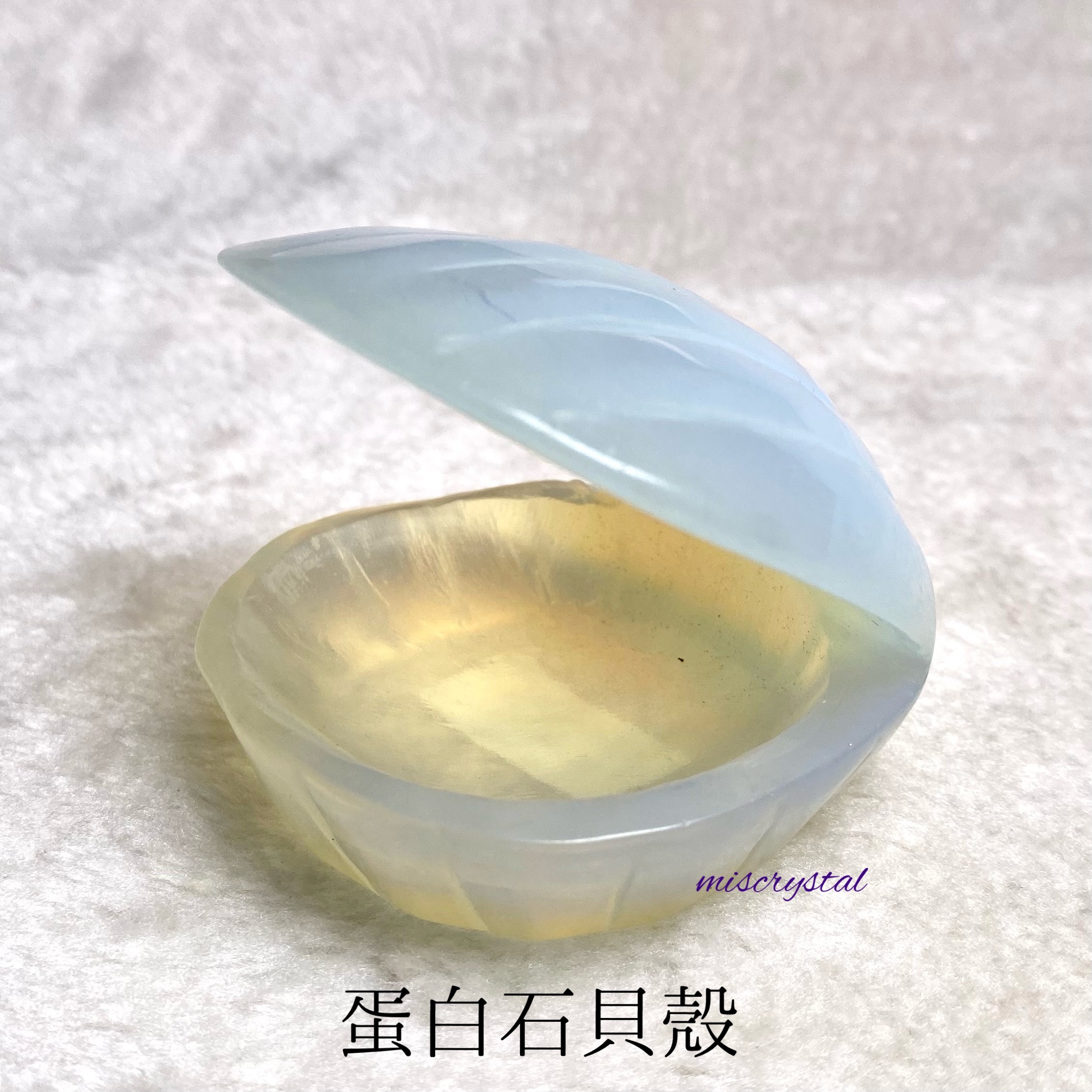 蛋白石貝殼 #A225