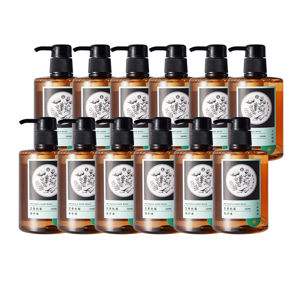 【tsaio上山採藥】艾草抗菌洗手12入組