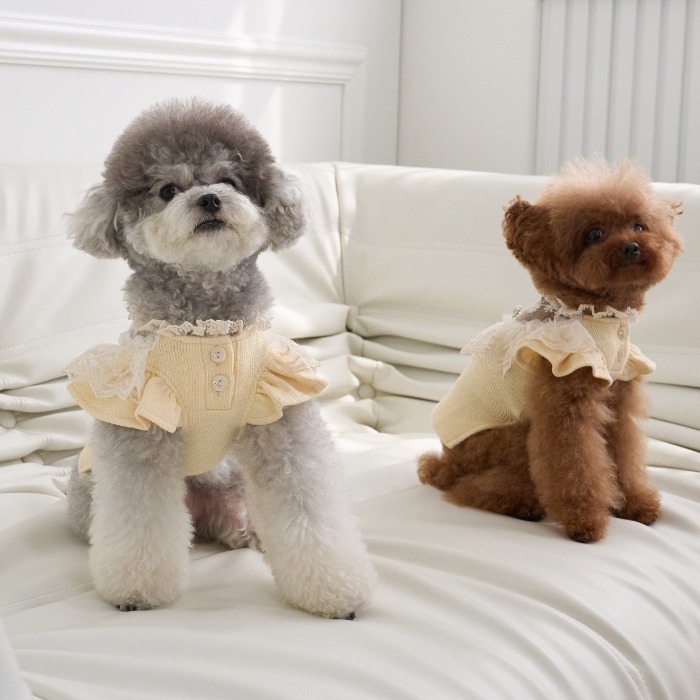 EOMUK MARKET 公主蕾絲衫