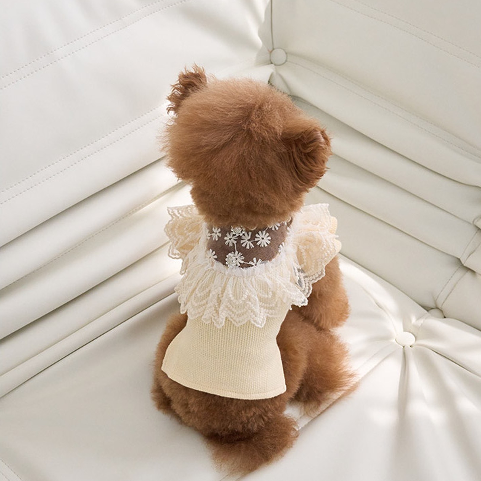 EOMUK MARKET 公主蕾絲衫