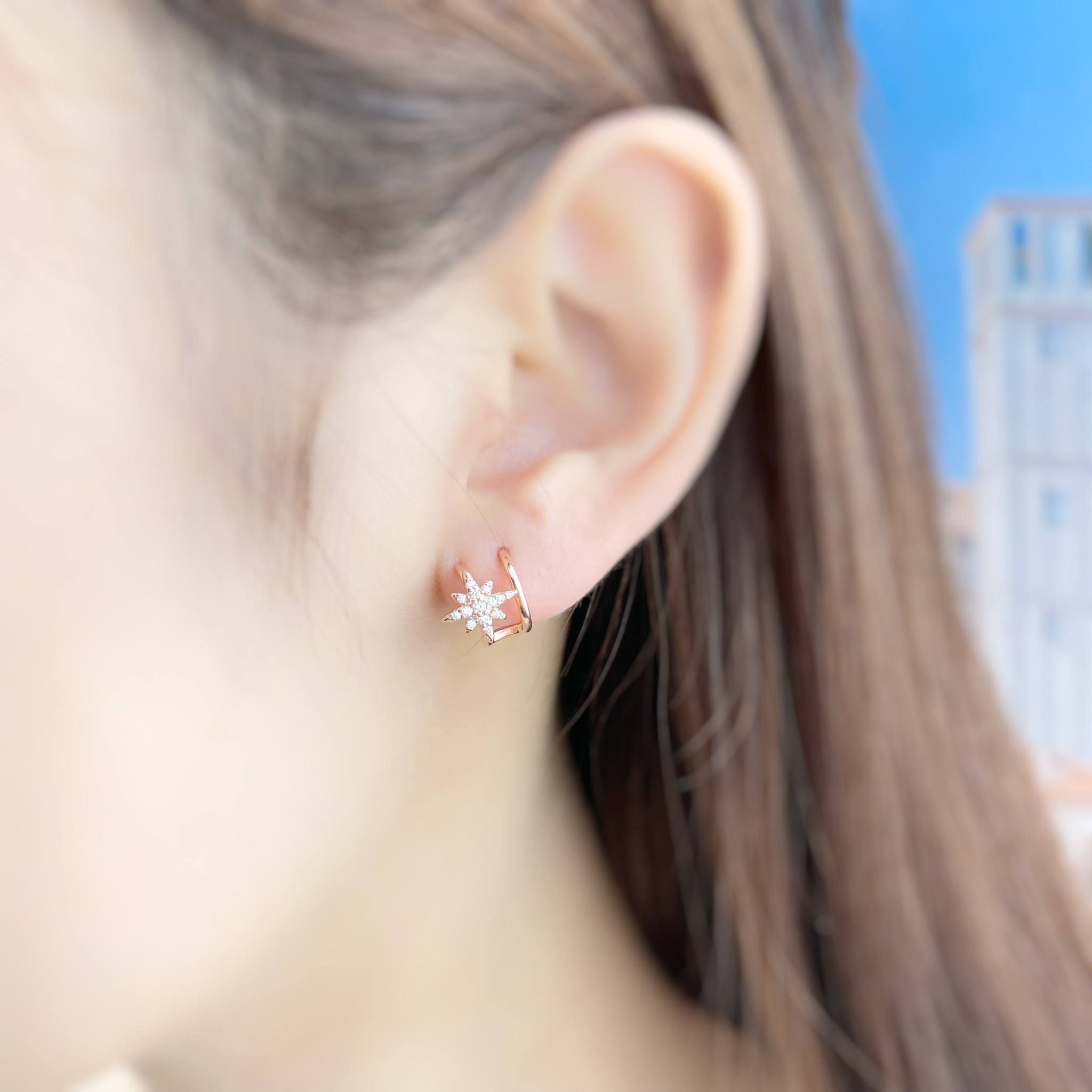 | 925 Silver・White Gold・Rose Gold | Galaxy Turntable Earrings（Silver / Rose Gold） | EA0417 |