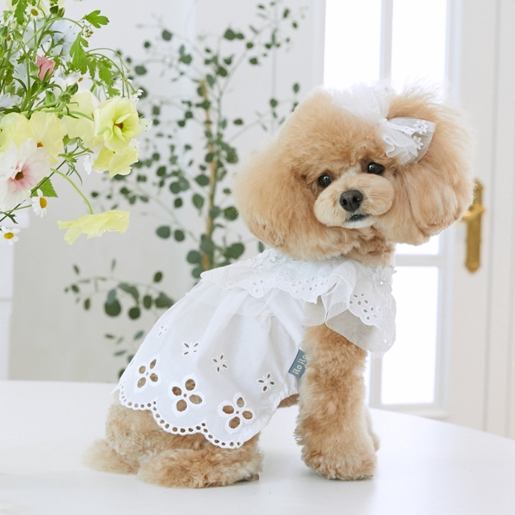 iLo iLo 花朵棉質蕾絲洋裝