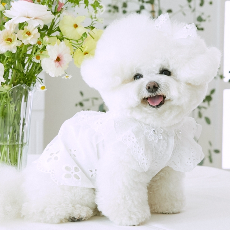 iLo iLo 花朵棉質蕾絲洋裝