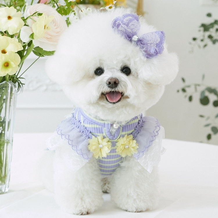 iLo iLo 瑪格麗特T-Shirt