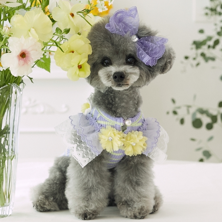 iLo iLo 瑪格麗特T-Shirt