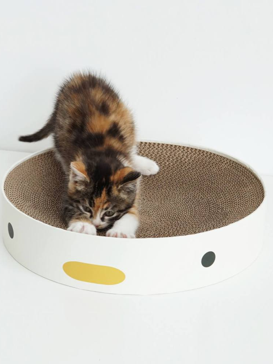 【PURROOM】小雞圓盤貓抓板