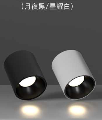 ORVIBO 歐瑞博 單頭圓形盒仔燈 (黑/白）