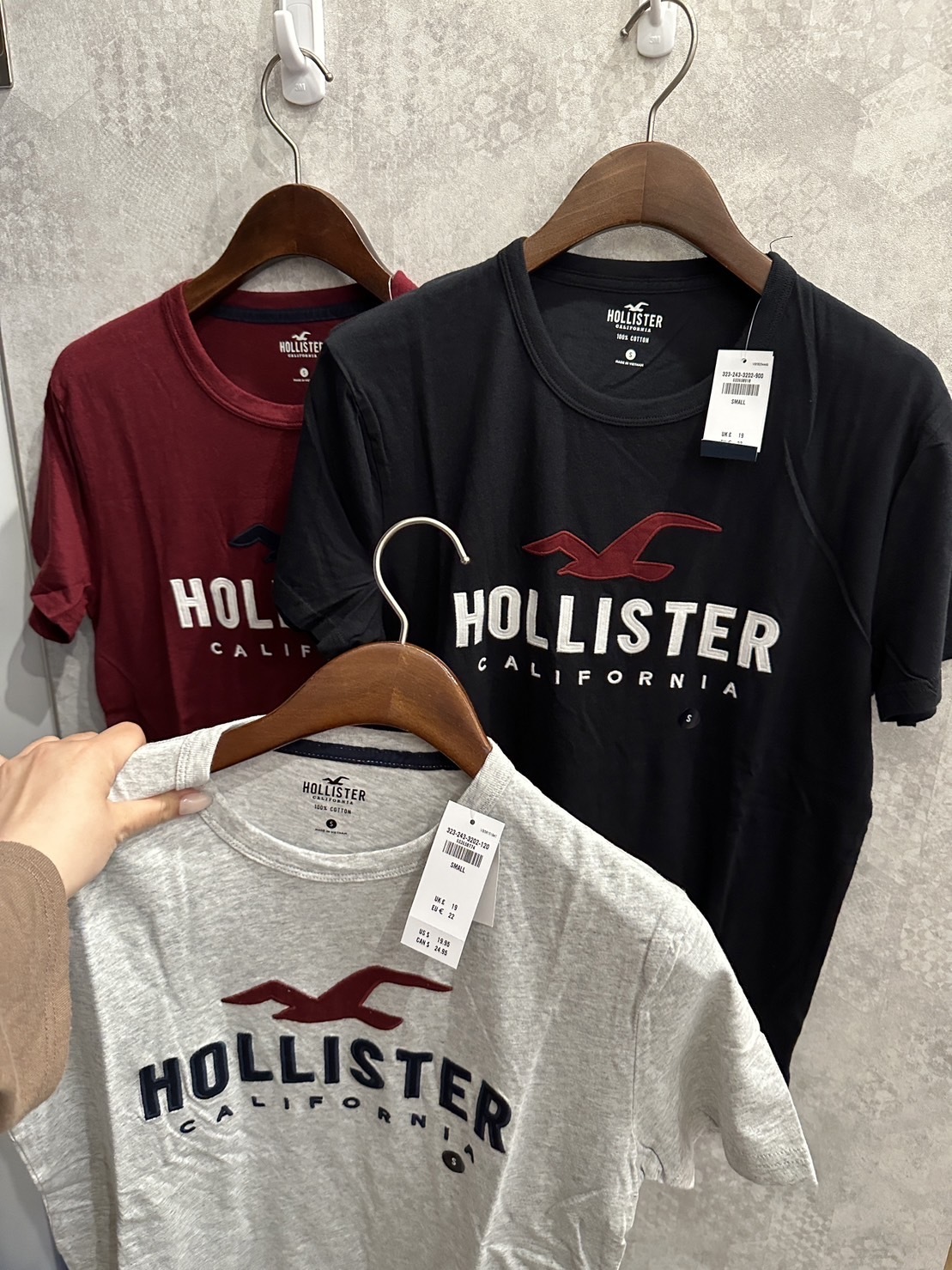 Hollister 海鷗 貼布電繡大Logo 短袖T恤 短T