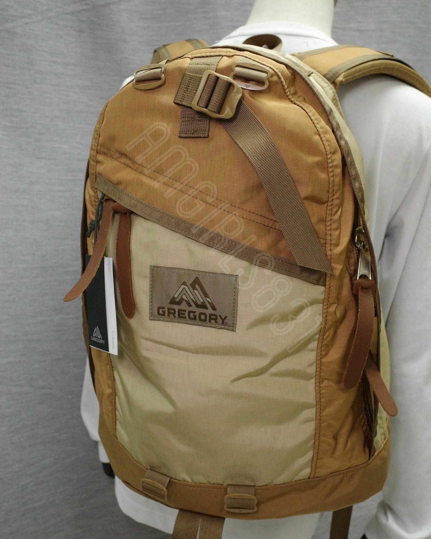Gregory day pack Earth Brown