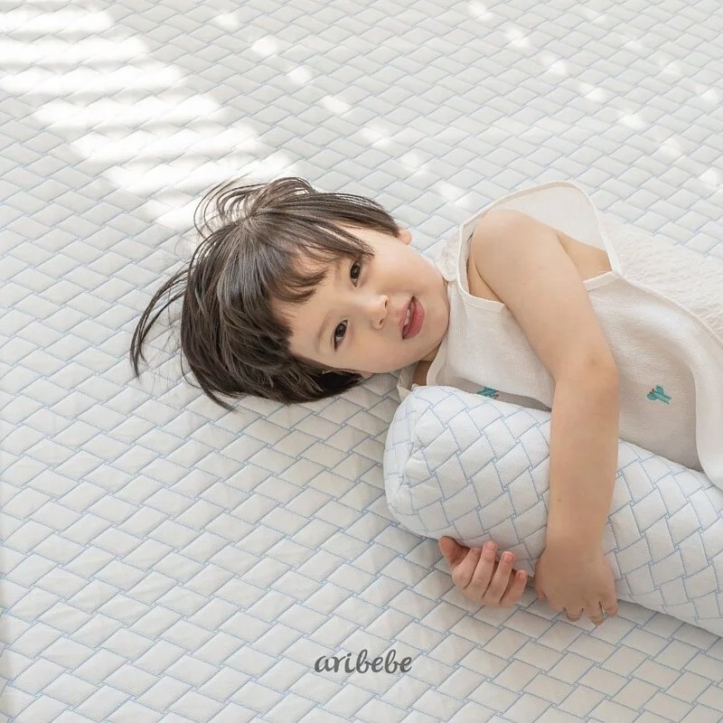 韓國 ARIBEBE阿拉斯加涼感抱枕