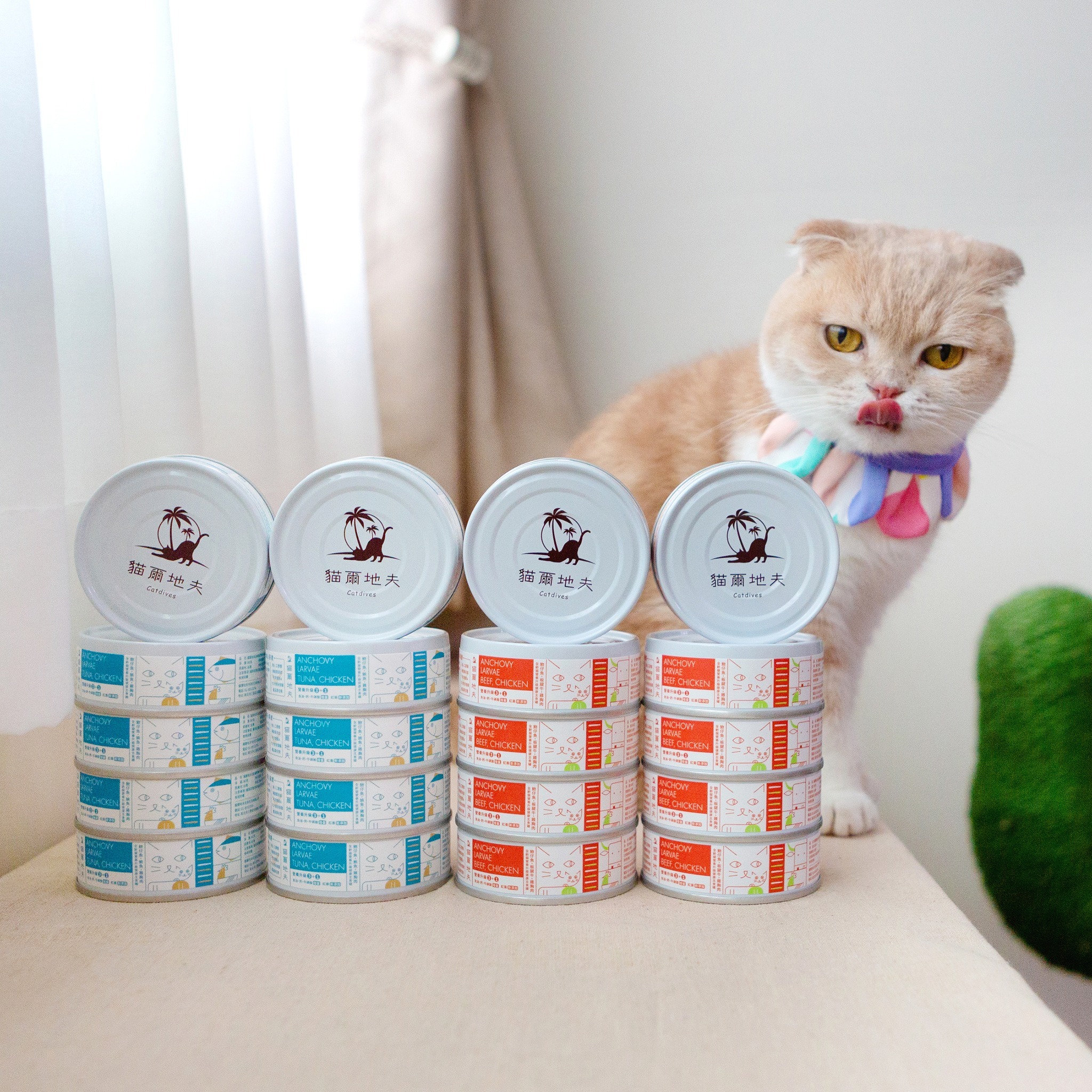 貓爾地夫名人開箱