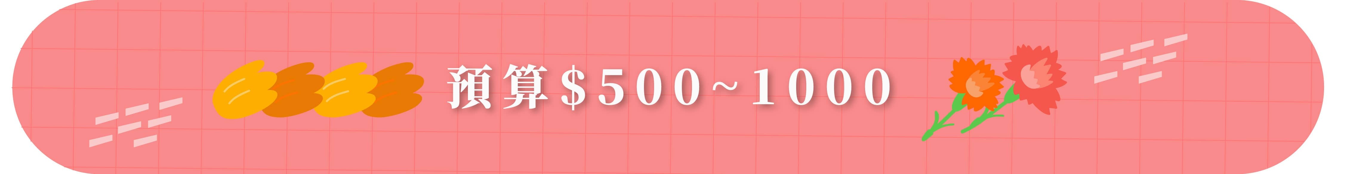 預算500-1000以下