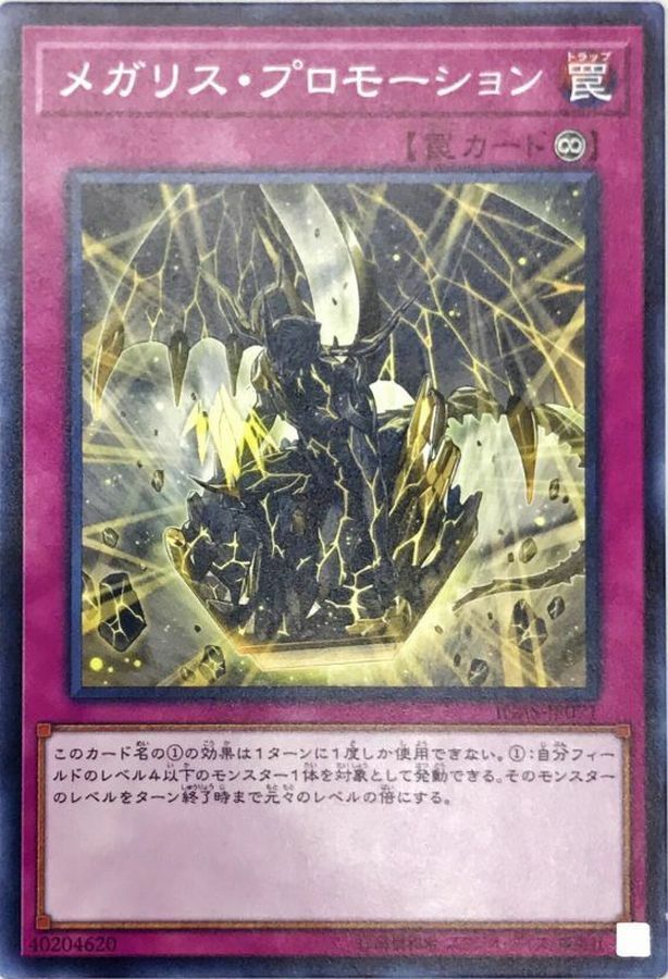 IGAS-JP071 メガリス・プロモーション