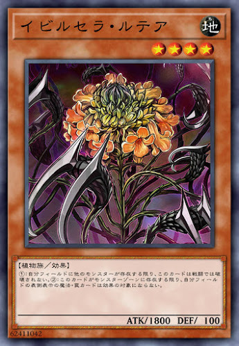 IGAS-JP027 イビルセラ・ルテア