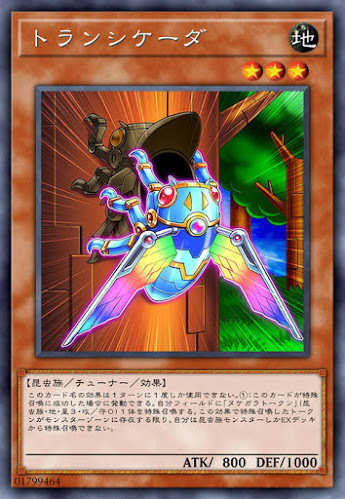 IGAS-JP030 トランシケーダ