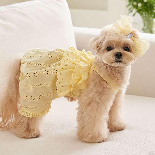 寬鬆吊帶-簍空蕾絲-檸檬黃- It’s sunny outside