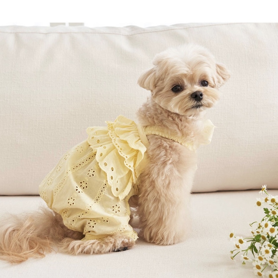 寬鬆吊帶-簍空蕾絲-檸檬黃- It’s sunny outside