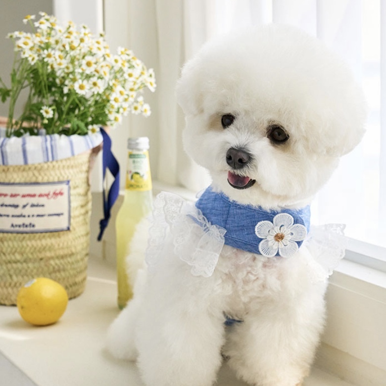 Daisy Linen 涼夏亞麻花胸背組（含牽繩）- It’s sunny outside