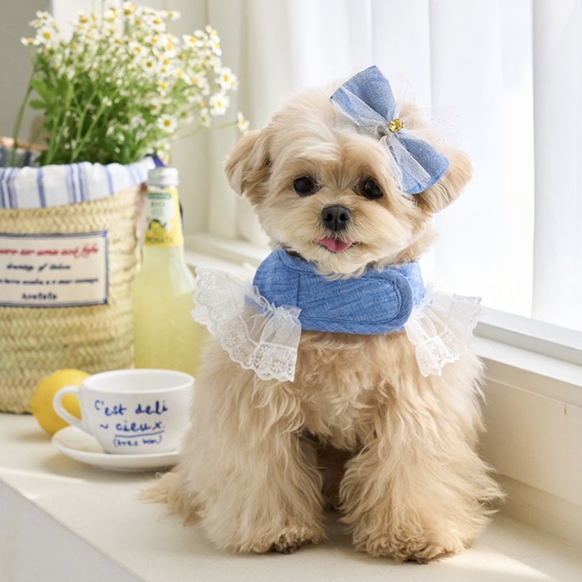 Daisy Linen 涼夏亞麻花胸背組（含牽繩）- It’s sunny outside