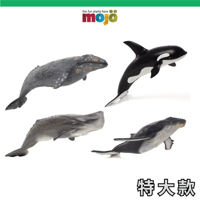 ⭐MOJO⭐動物模型~大款系列☆灰鯨座頭鯨抹香鯨虎鯨(葡製)🐋