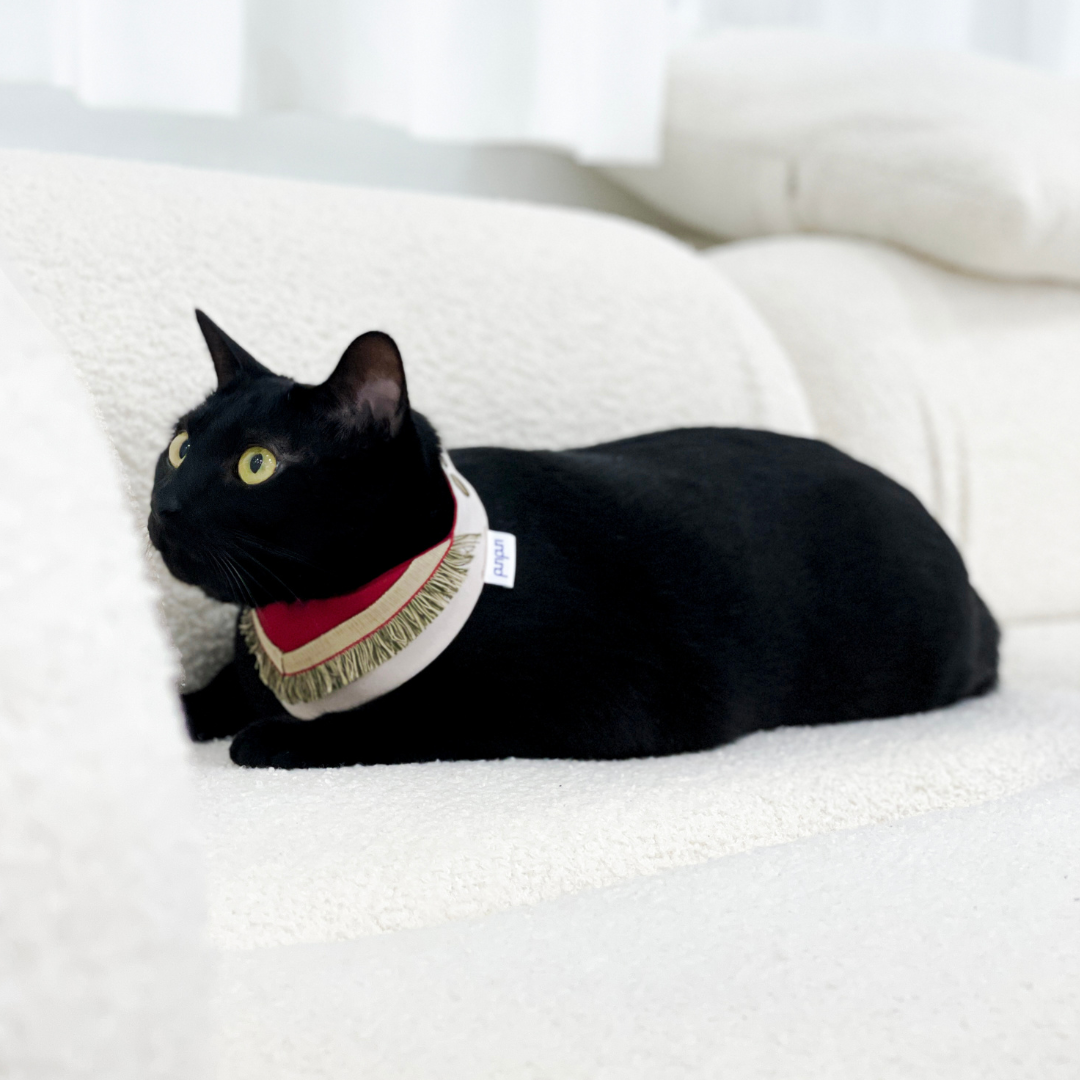 PuriPuri® 寵物領巾 - 可愛小國王