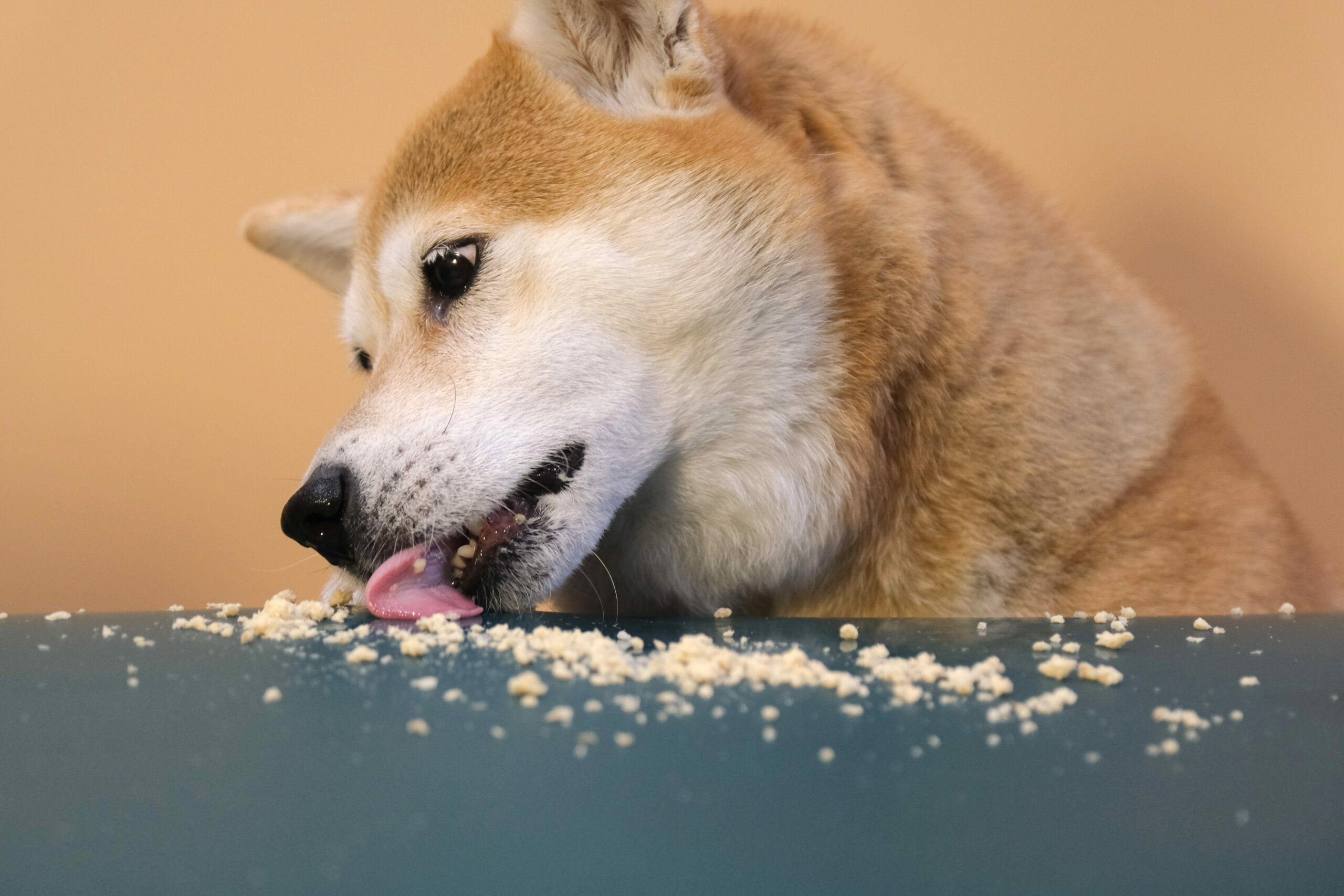 【肉衛門ROROMEN】鯛魚肉鬆