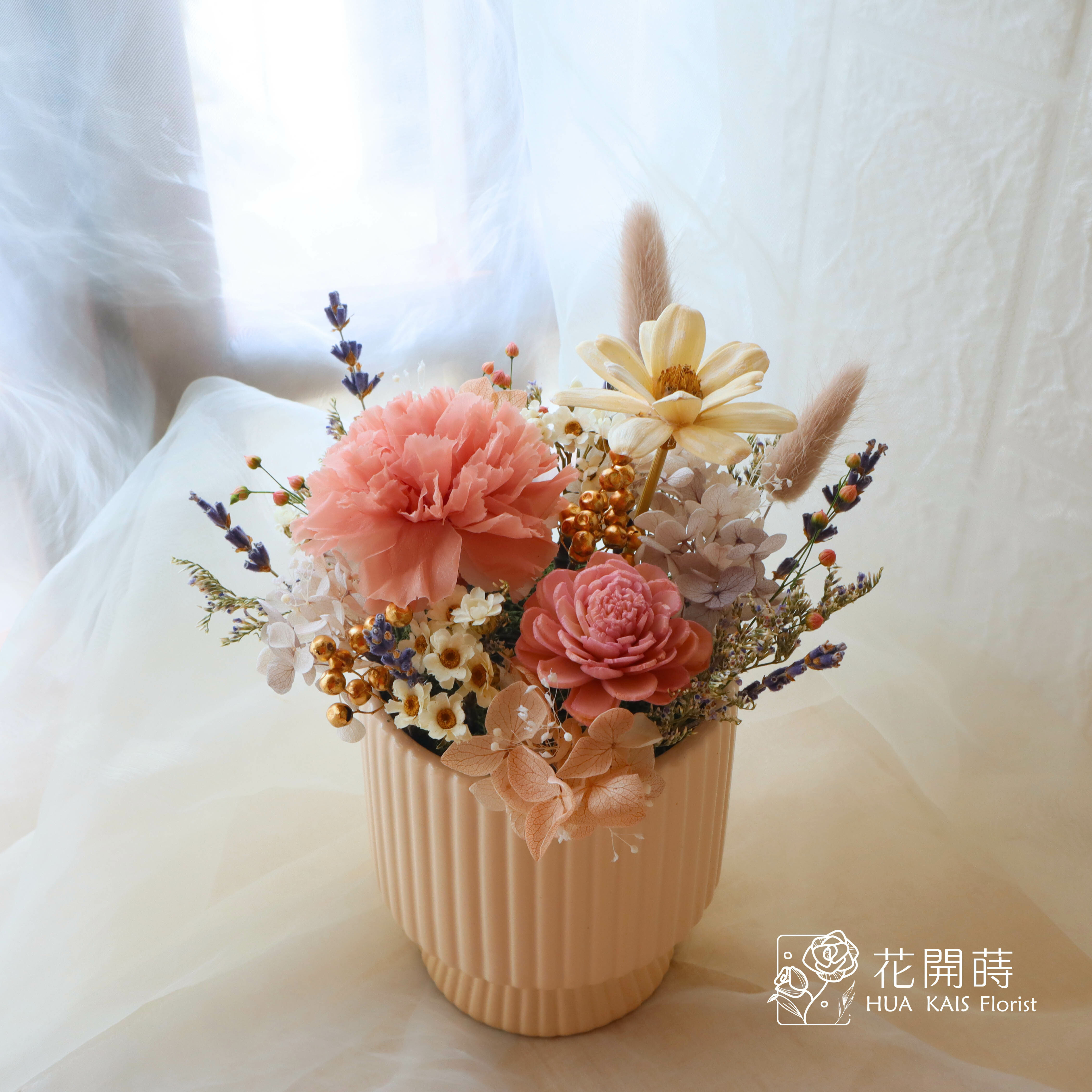 永生康乃馨小盆花|燕麥奶|母親節小盆栽|生日禮物|母親節禮物