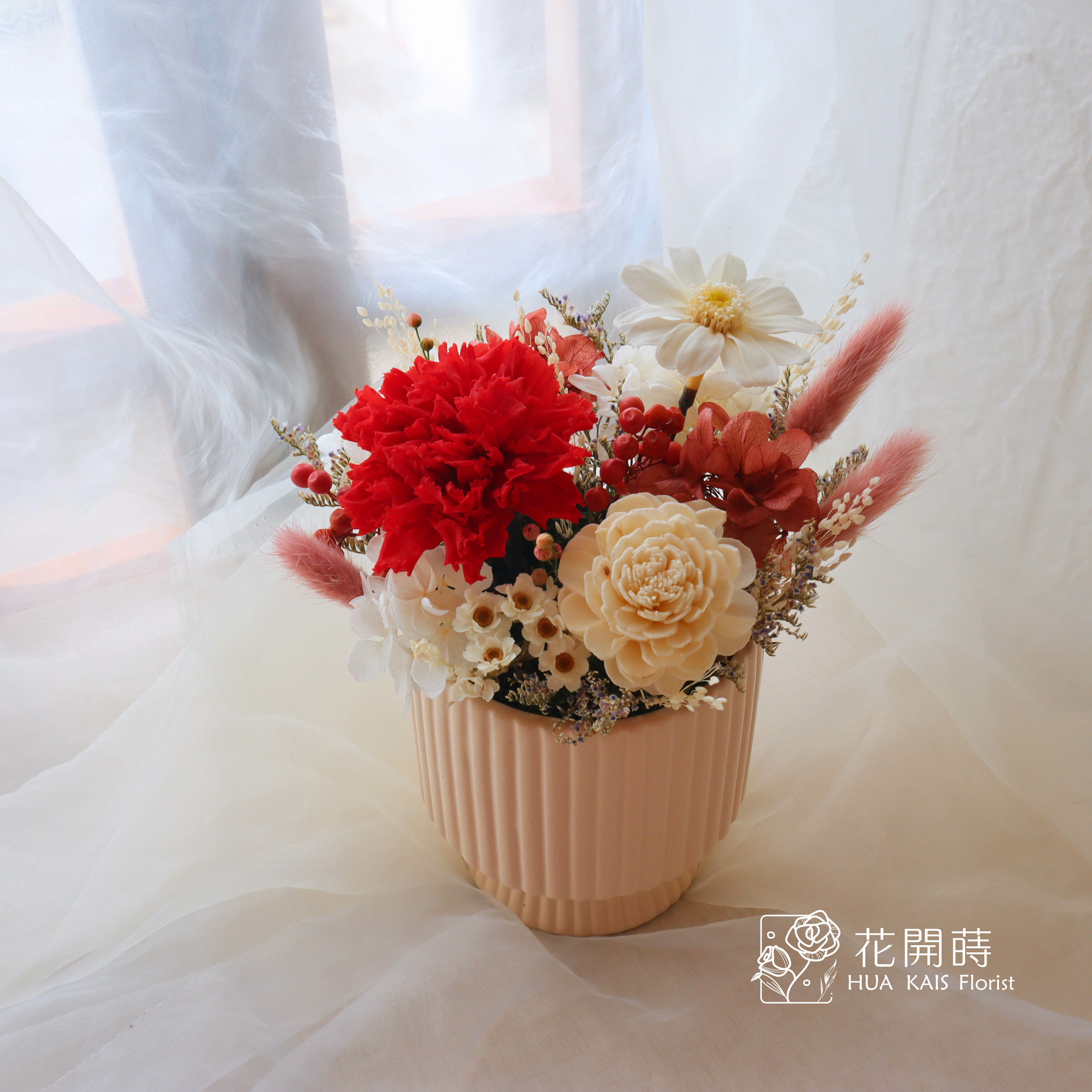 永生康乃馨小盆花|胭脂紅|母親節小盆栽|生日禮物|母親節禮物