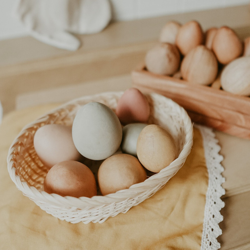 蛋跟托盤 | 回收木玩