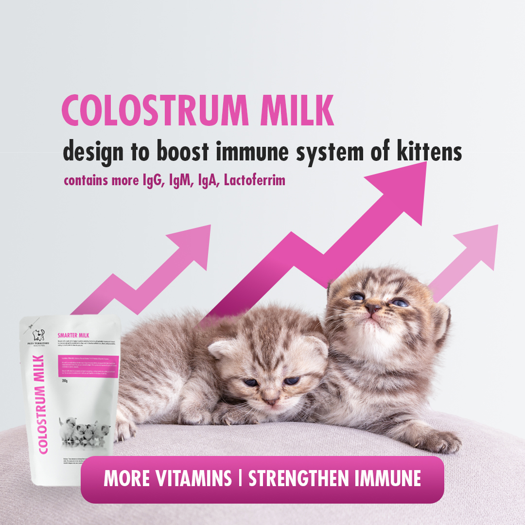 Colostrum 2025 for kittens