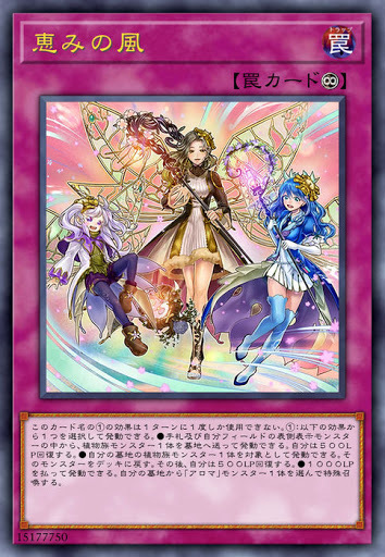 CHIM-JP074 恵みの風