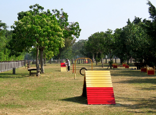 台南安平寵物運動公園
