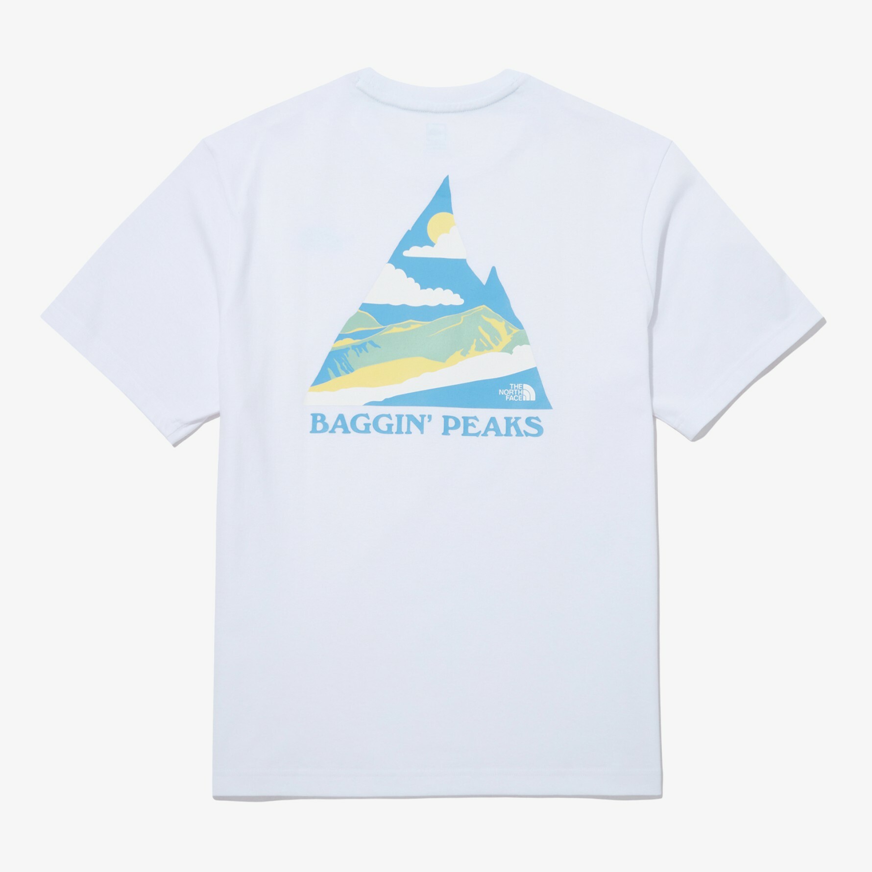 THE NORTH FACE BACKPACKING 圖案 短袖 短T NT7UP08