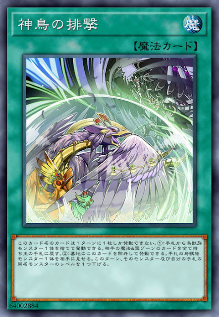 RIRA-JP062 神鳥の排撃