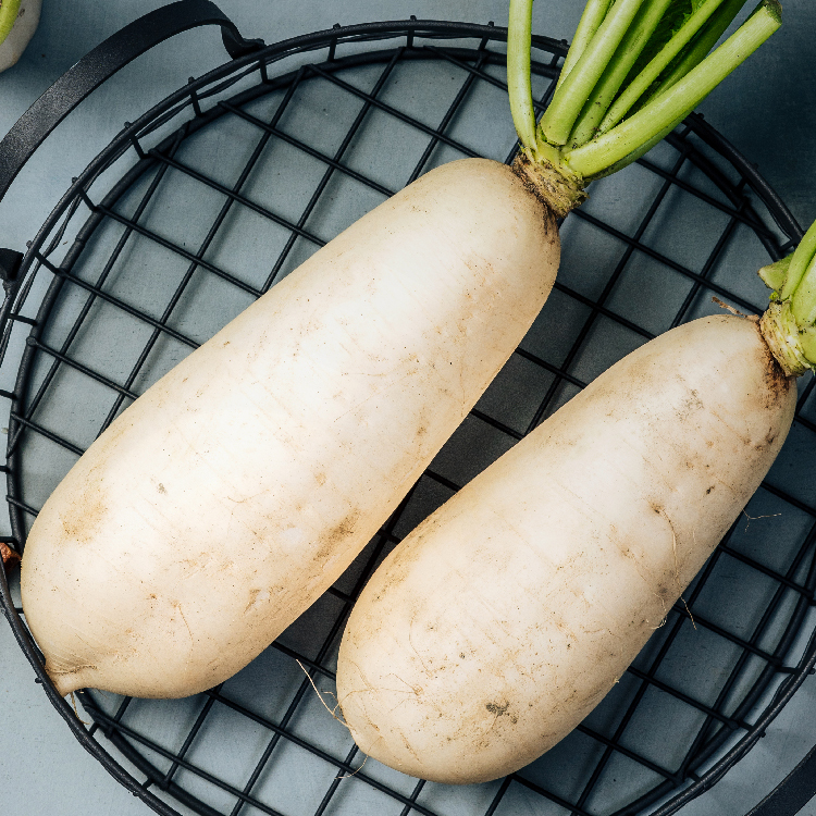 白蘿蔔放大