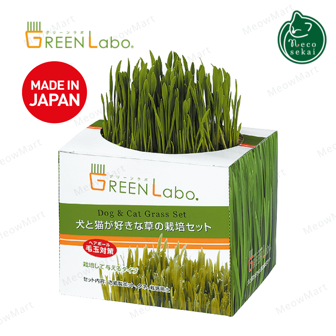 Green Labo - Dog & Cat Grass Set (Made In Japan)