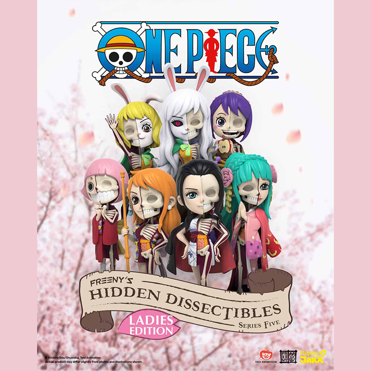 Mighty Jaxx 4吋 航海王 ft. Jason Freeny 女子組 (一中盒7種6入)