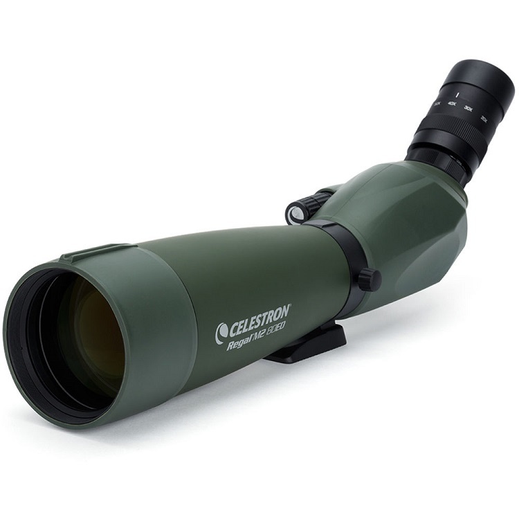 Celestron Regal M2 80ED單筒望遠鏡(含20-60X目鏡) -鴻宇光學